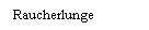 Text Box: Raucherlunge