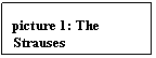 Text Box: picture 14: The Strauses